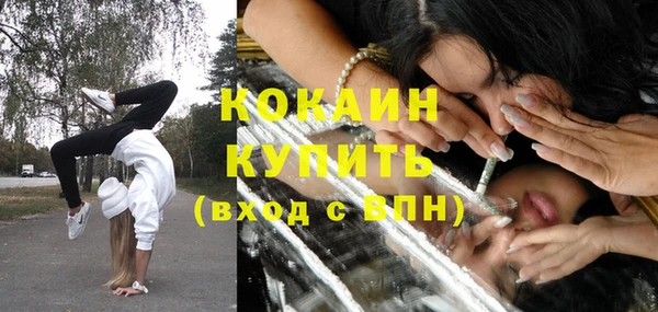ГАЛЛЮЦИНОГЕННЫЕ ГРИБЫ Аркадак