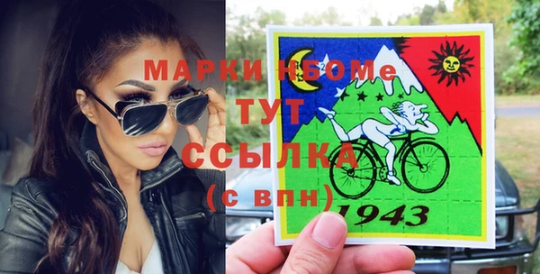 ГАЛЛЮЦИНОГЕННЫЕ ГРИБЫ Аркадак