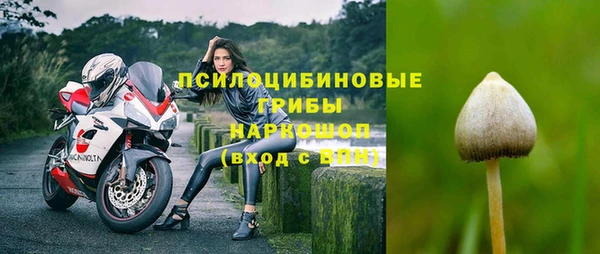 мяу мяу мука Арсеньев