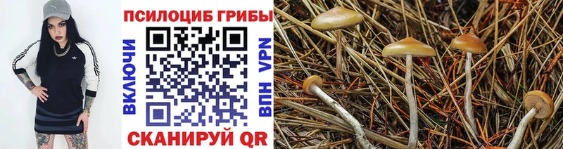 Галлюциногенные грибы GOLDEN TEACHER  кракен ONION  Ступино 